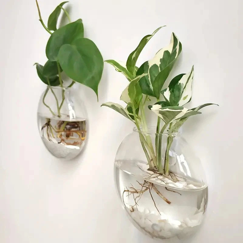 wall hanging glass vase