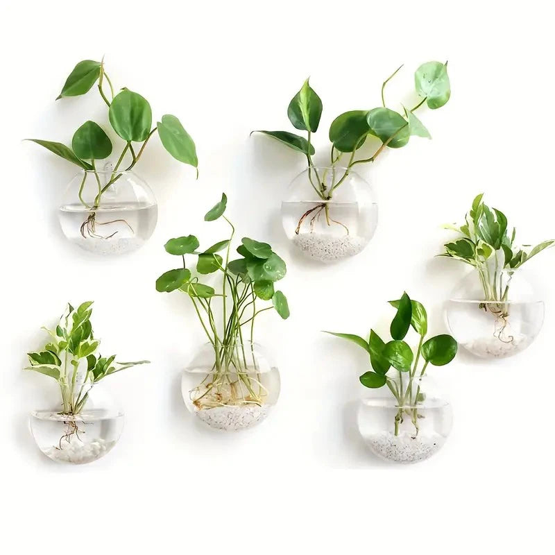 wall hanging glass vase