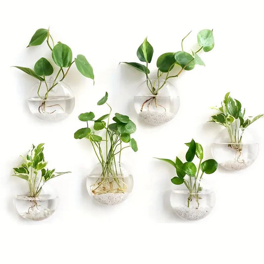 wall hanging glass vase